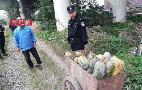 临沧网红吃瓜事件真相视频