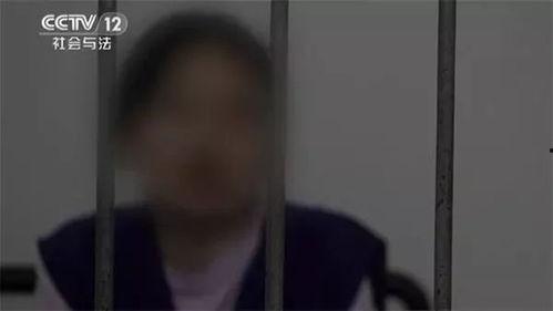 昆山教育吃瓜事件始末,真相揭秘与舆论风波