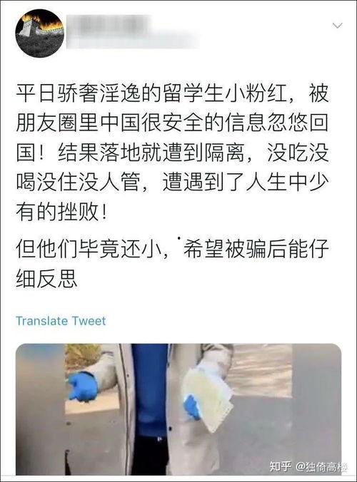 洪山万科吃瓜事件始末,一场邻里纠纷的发酵与反思