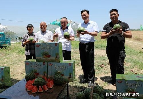 瑞安市最新吃瓜事件真相,揭秘背后真相，还原事件全貌