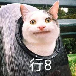狗头侦探社吃瓜事件