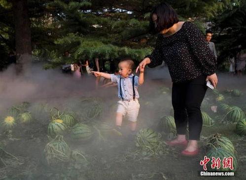 美院吃瓜群众事件视频大全,揭秘校园风云录