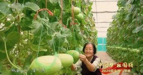 中国网红泰国吃瓜事件,揭秘中国网红在泰国的真实遭遇