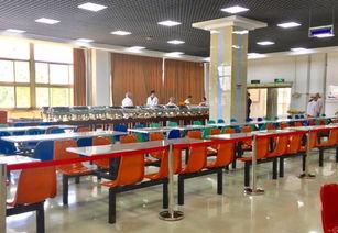 天津师范大学吃瓜事件,校园风波背后的真相探寻