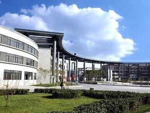 天津师范大学吃瓜事件,校园风波背后的真相探寻