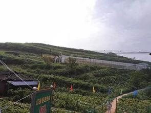 苏州虞山吃瓜事件始末,一场误会引发的社区风波