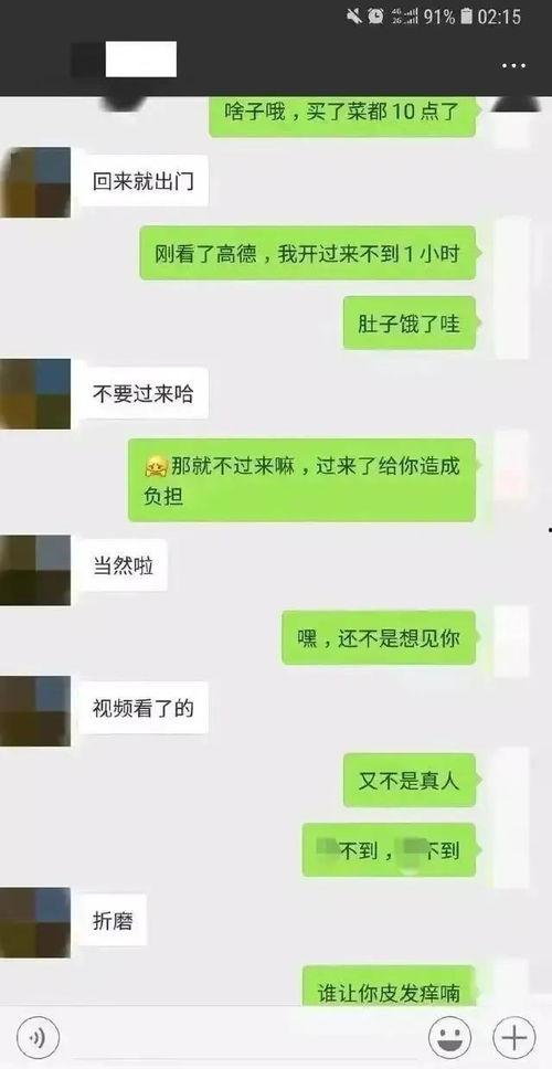惠州吃瓜事件聊天记录,网络热议背后的真相揭晓