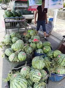 最新缅甸吃瓜新闻事件,揭秘背后惊人真相